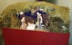 San Lussorio | Martire - presepe_san_lussorio_2014
